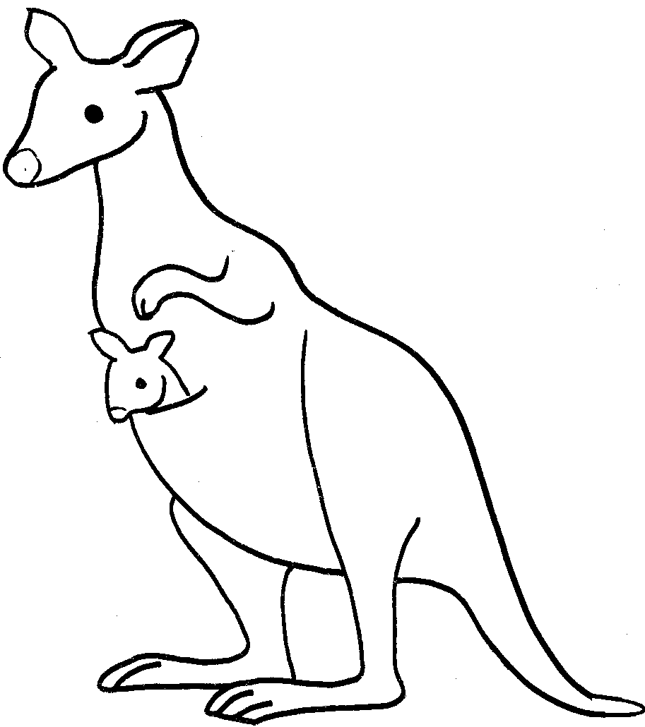 Kangaroo Drawing   Clipart