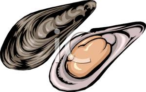 Oyster Clip Art Free   Clipart Panda   Free Clipart Images