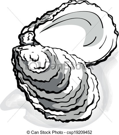 Oyster Shell Clip Art Oyster Shell Vector Illustration   Csp19209452