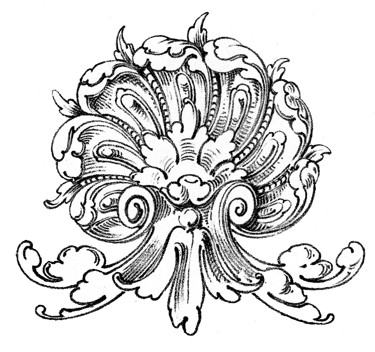 Vintage Ornamental Clip Art   Shell With Scrolls   The Graphics Fairy