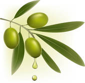 Background With Green Olives    Clipart Graphic