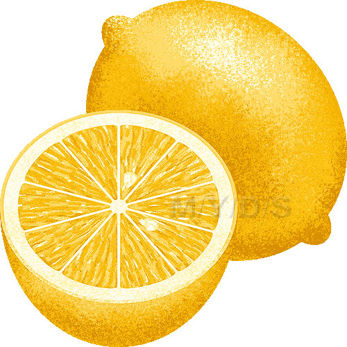 Lemon Clipart Picture   Large