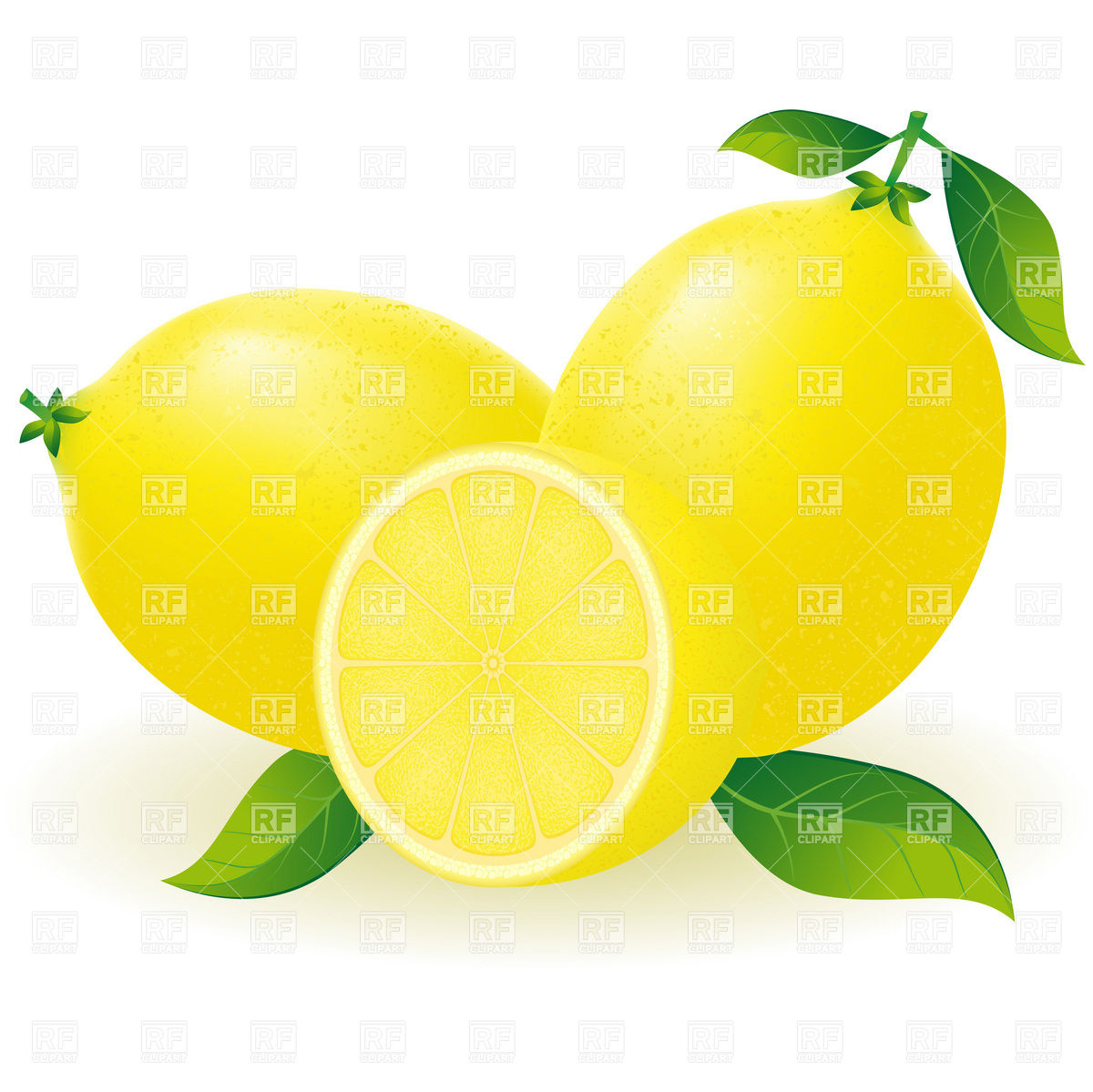 Lemon With Segment Download Royalty Free Vector Clipart  Eps 