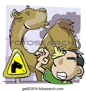 Spit Clipart Stock Photo   Camel Spitting