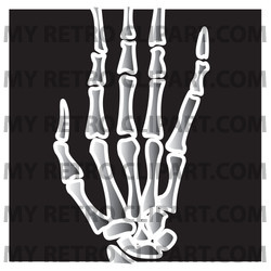 Xray Of Fingers On A Hand Clipart Illustration   Image 15998 By Andy