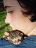 Clipart Image   A Sweet Newborn Kitten Sleeping On A Teenage Girl S