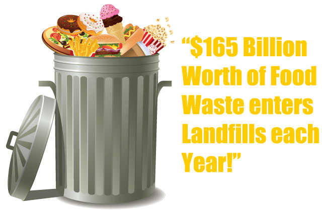 Food Waste In America   Going Green