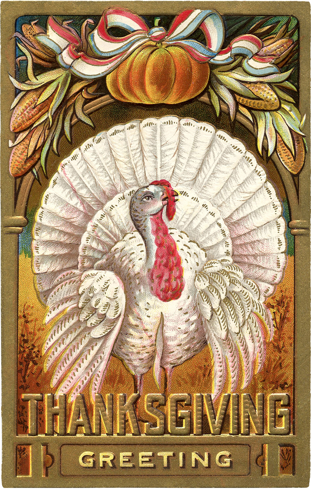 Thanksgiving Clip Art   White Turkey