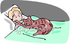 Cat Bed Clipart