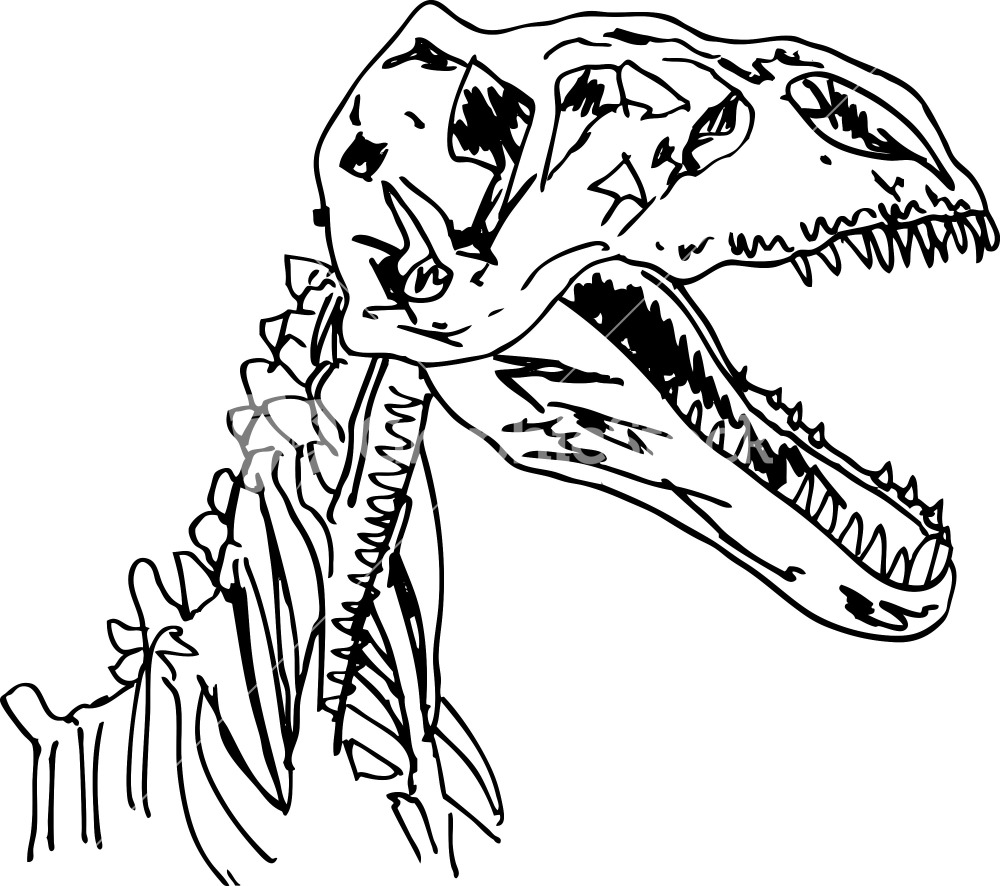 Dinosaur Fossil Drawing   Clipart Panda   Free Clipart Images