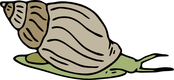 Green Snail Clip Art At Clker Com   Vector Clip Art Online Royalty