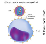 Hiv Illustrations And Clip Art  2795 Hiv Royalty Free Illustrations