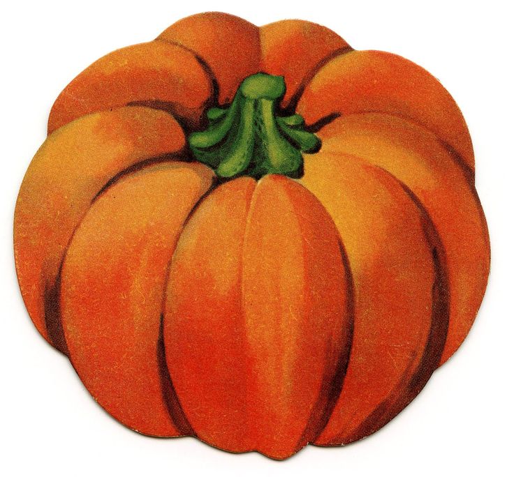 Pumpkin Clip Art   Clipart   Pinterest