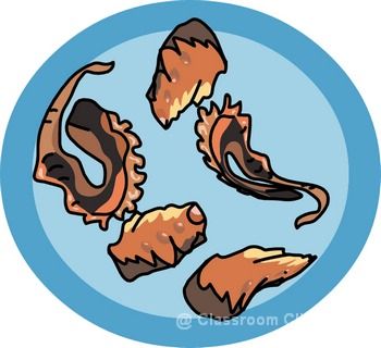 Seafood Clipart   Seafood 08   Classroom Clipart