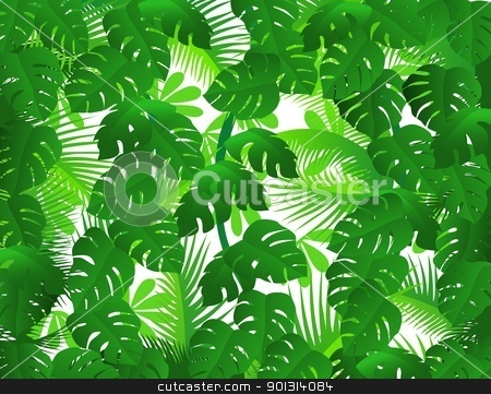 Tropical Leaf Background Stock Vector Clipart Vector Illustration Of