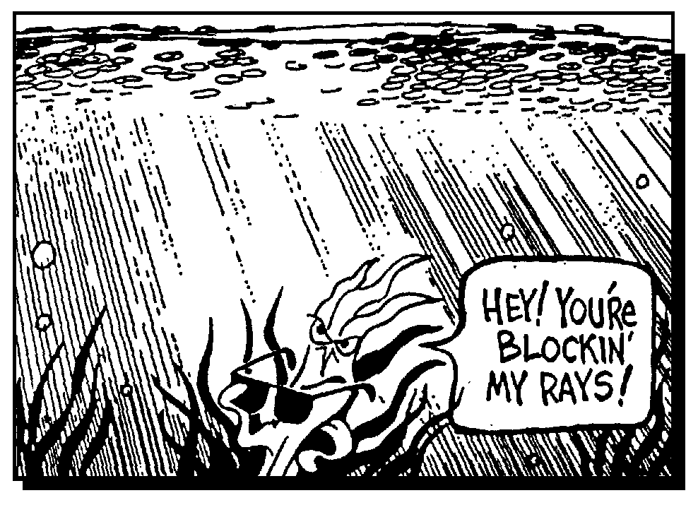 Angry Seaweed Cartoon