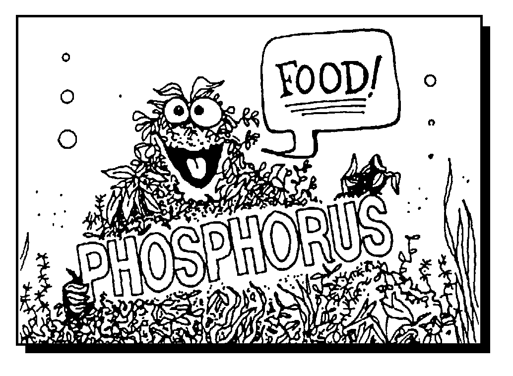 Anthropomorphic Phosphorus