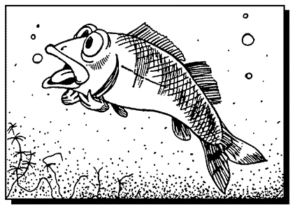 Choking Fish Cartoon