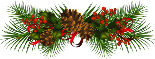 Christmas Pine Cones Transparent Background Free Png Images