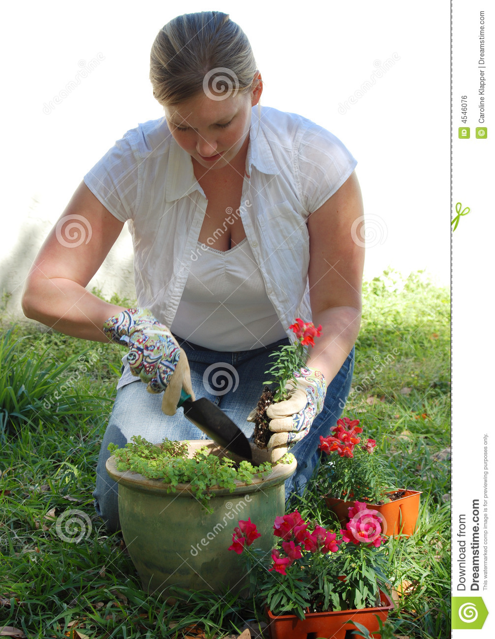 Woman Planting Flowers Royalty Free Stock Image   Image  4546076