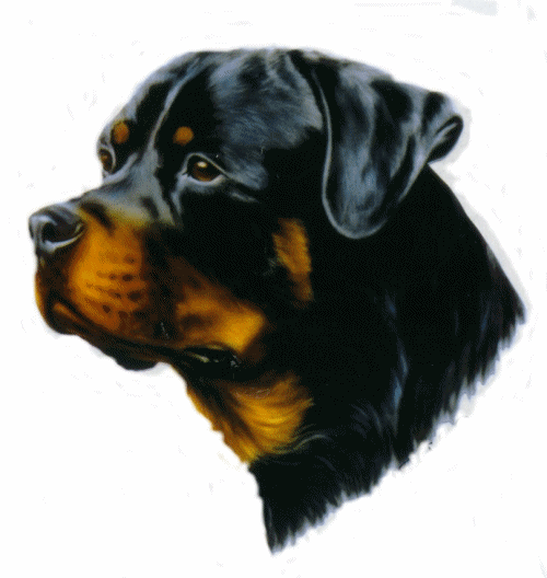 Dog Graphics Rottweiler 028739 Dog Graphic Gif