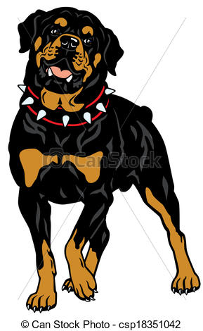 Eps Vector Of Rottweiler   Dog Rottweiler Breed Front View