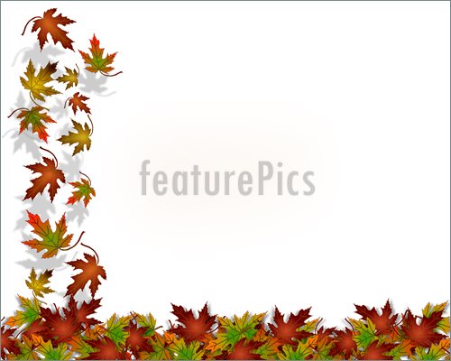     Fall Leaves On White For Thanksgiving Invitation Border Or Background