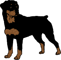 Free Canine Graphics   Rottweiler Clipart