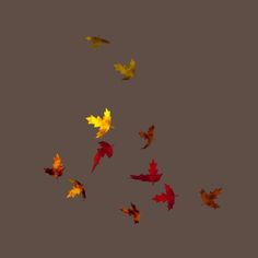     Leaves    3d Gif Animation Free Download Blog Tree With Leaves Falling