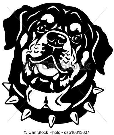 Vecteur   Rottweiler T Te Noir Blanc   Banque D Illustrations
