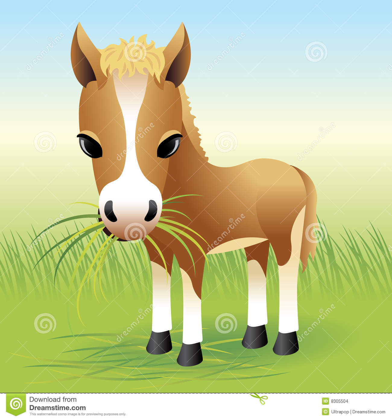 Baby Horse Clipart Baby Animal Collection  Horse