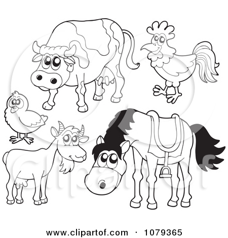 Clipart Outlined Farm Animals   Royalty Free Vector Illustration By