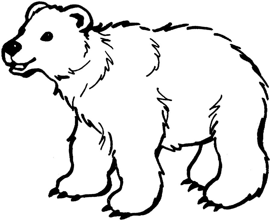 Coloring Page  Polar Bear   Free Printable Downloads From Choretell