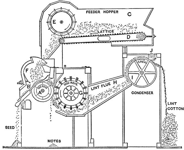     Cotton Gin It Shows The Process Of Taking The Seeds Out Of The Cotton
