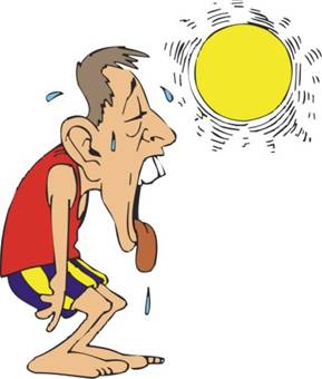 Dehydration  Heat Exhaustion  Heat Related Illnesses  Heat Stroke