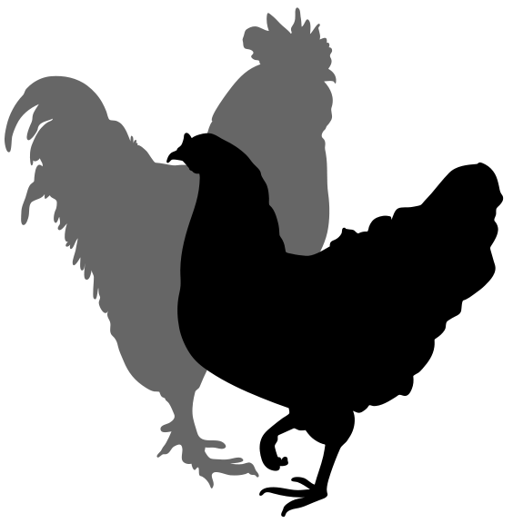 Description Rooster And Hen Silhouette 02 Svg