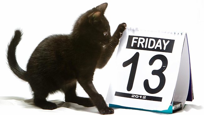 Friday The 13th   Black Cats   Dr  Ryan Llera   Kingston Ontario