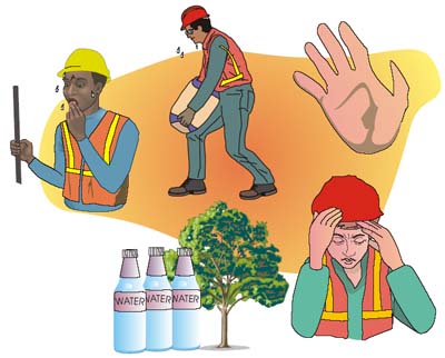 Heat Stress Concerns On Construction Jobsites