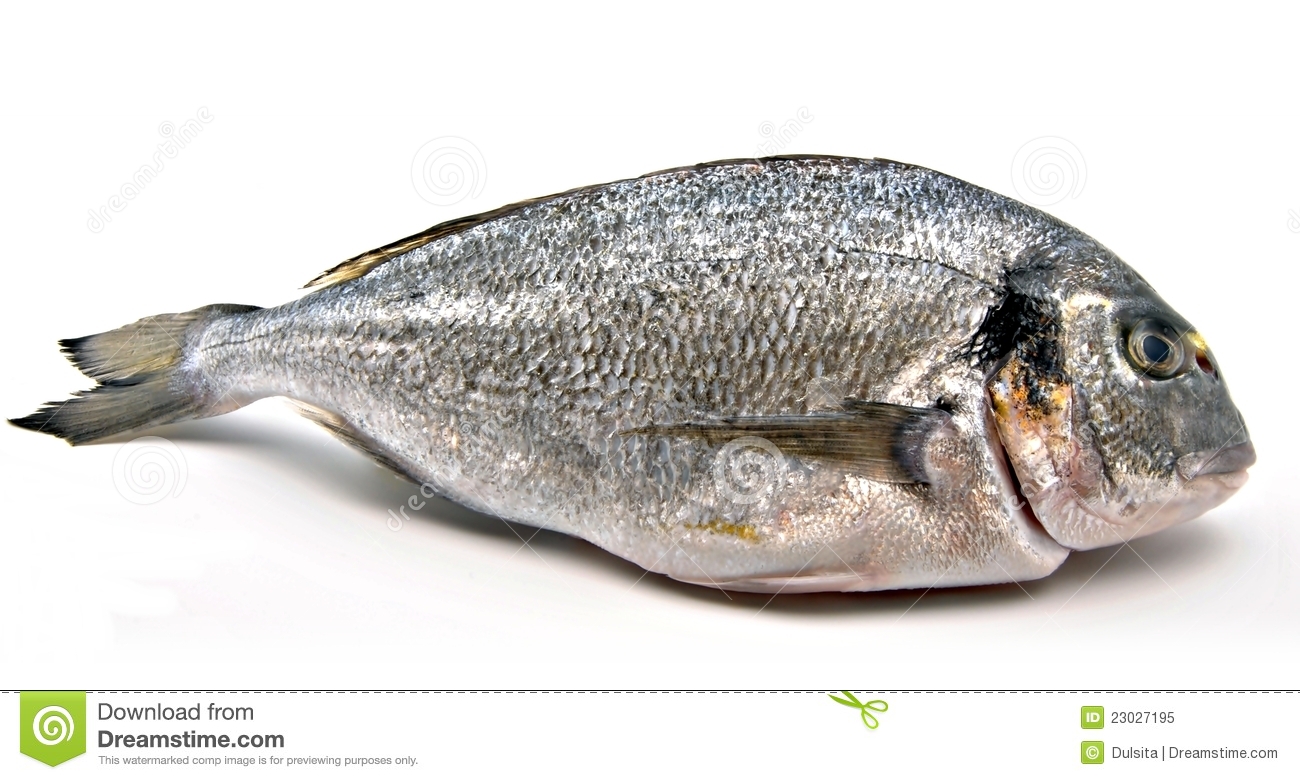 Raw Fish Called Gilt Surrounded By White Background 