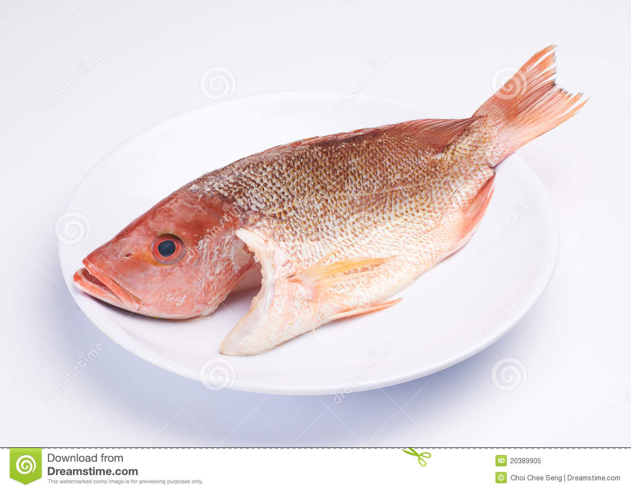 Raw Fish Royalty Free Stock Photo   Image  20389905