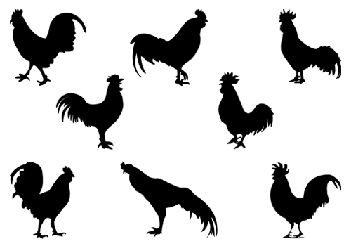 Rooster Silhouettecategory  Birds Vector Graphics