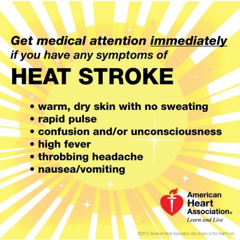 Warning Signs Of Heat Stroke Vary But May Include The Following