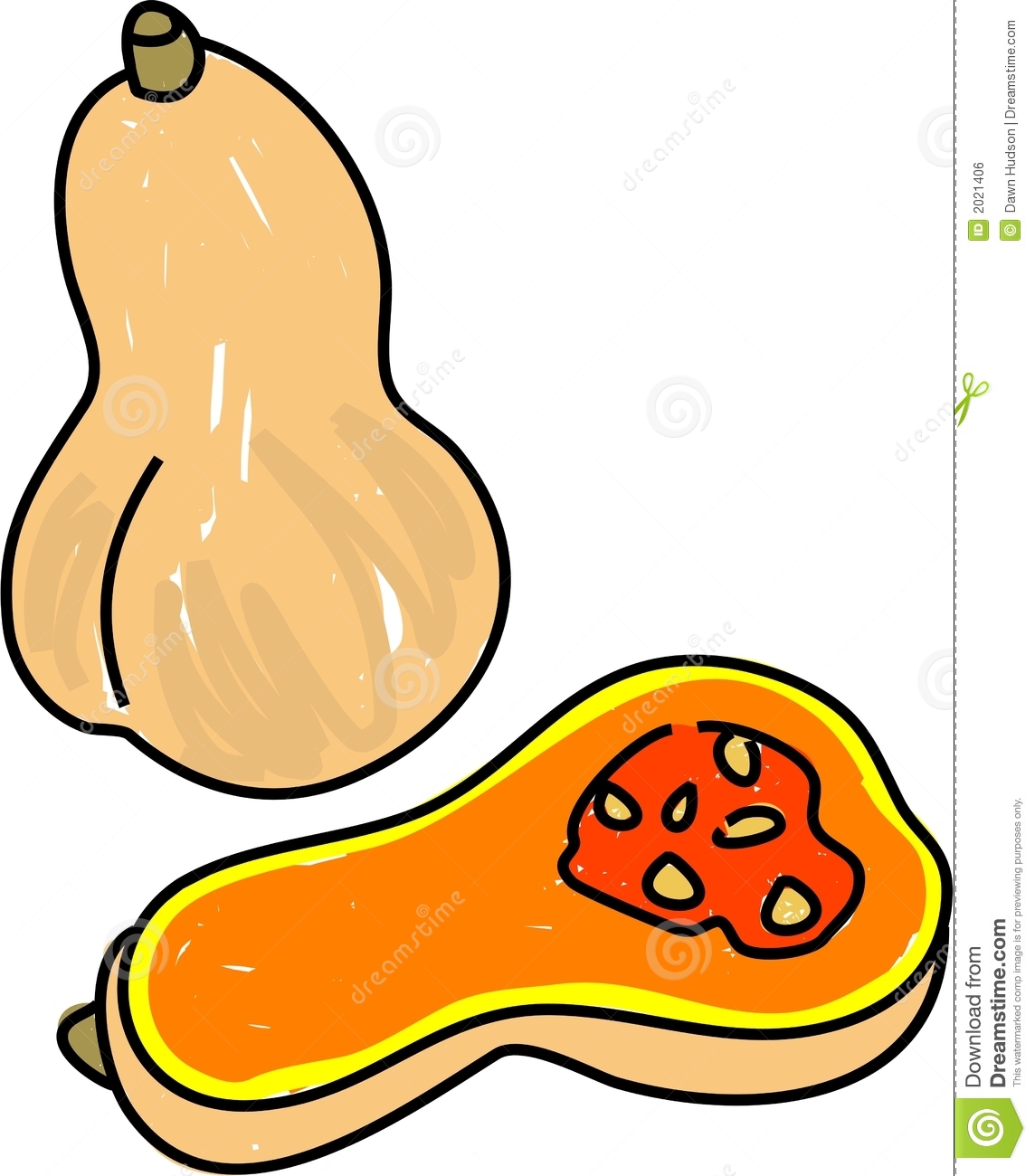 Butternut Squash Isolated On White Drawn In Toddler Art Style