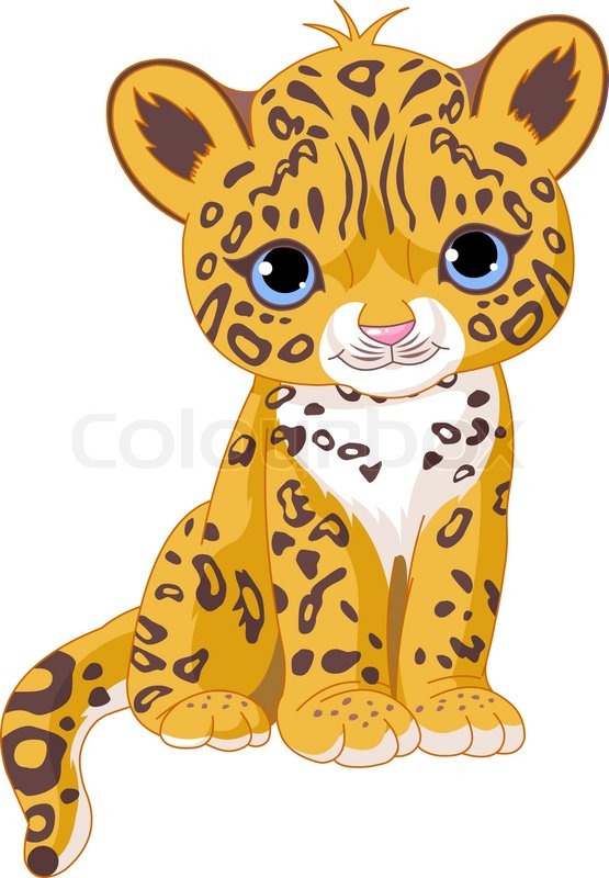 Cartoon Leopard Cheetah   Vector   Colourbox