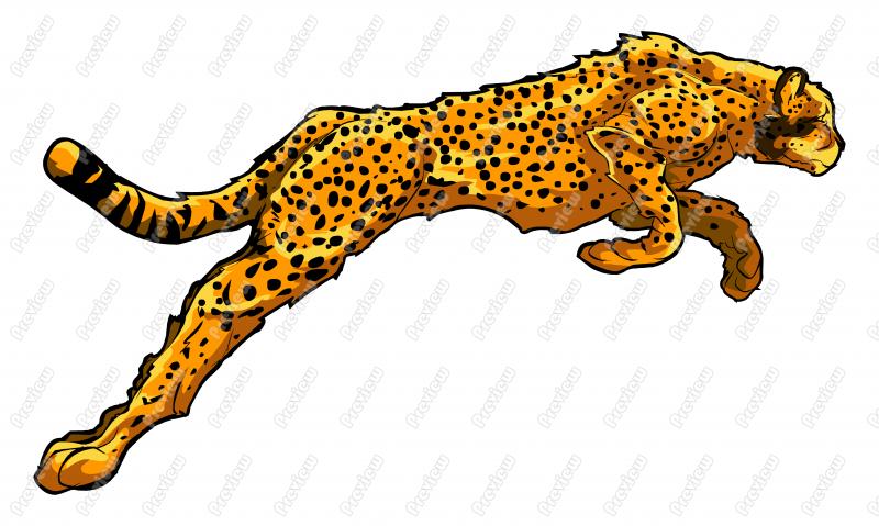     Cheetah Character Clip Art   Royalty Free Clipart   Vector Cartoon