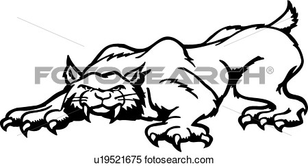 Clipart   Animal Bobcat Desenhos Animados Gato Fang Felino Le O    