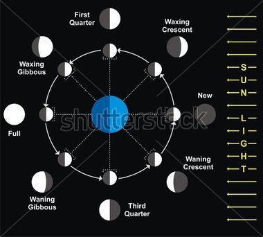 Download Source File Browse   Education   Vector   Moon Phases