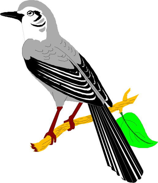Mockingbird Clip Art At Clker Com   Vector Clip Art Online Royalty