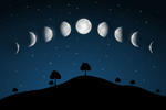 Moon Phases Night Landscape With Trees The Vector Moon Phase