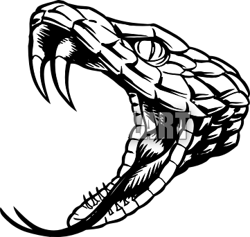 Snake Head Wit    Clipart Panda   Free Clipart Images